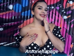 Antonellapage