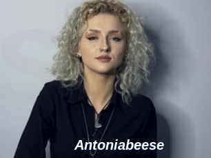 Antoniabeese