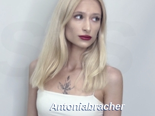 Antoniabracher