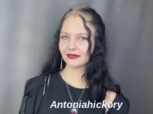 Antoniahickory