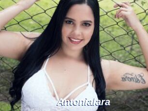 Antonialara