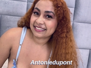 Antoniedupont