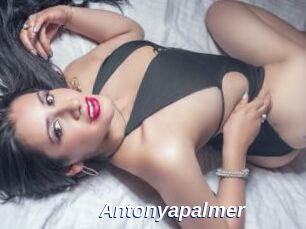 Antonyapalmer