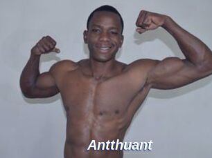 Antthuant
