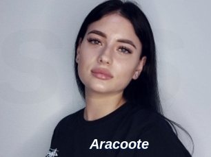 Aracoote