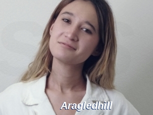 Aragledhill