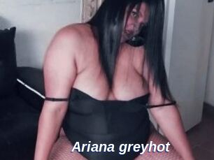 Ariana_greyhot