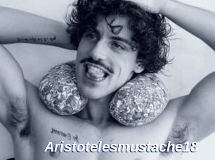Aristotelesmustache18