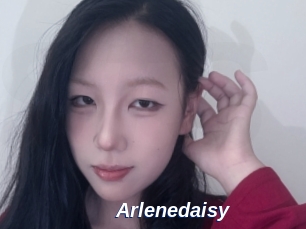 Arlenedaisy