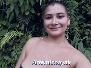 Artemiznayak