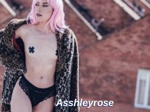 Asshleyrose