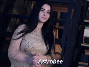 Astrobee