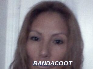 BANDACOOT