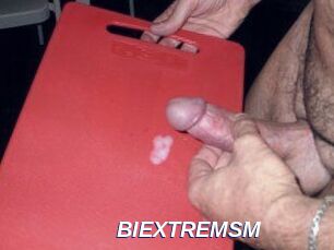 BIEXTREMSM
