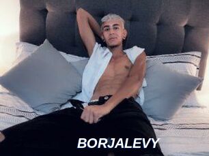 BORJALEVY