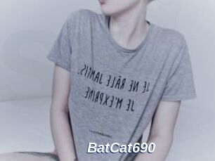 BatCat690