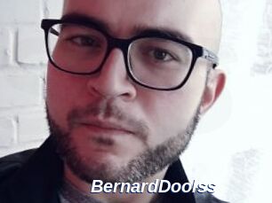 BernardDoolss