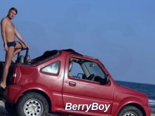 BerryBoy