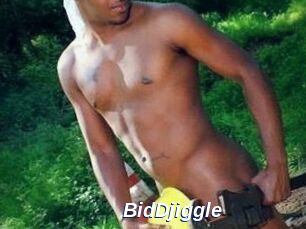 BidDjiggle