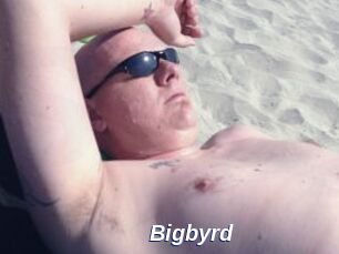 Bigbyrd