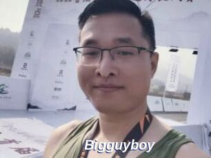 Bigguyboy