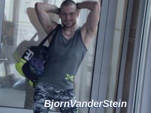 BjornVanderStein
