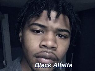 Black_Alfalfa