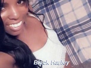 Black_Harley