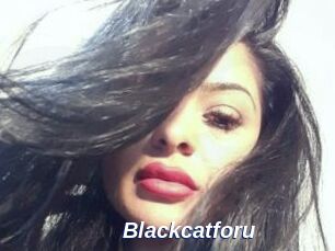 Blackcatforu