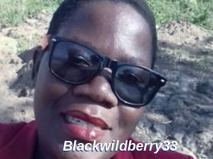 Blackwildberry33