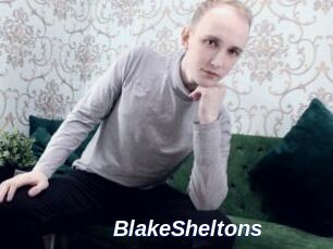 BlakeSheltons