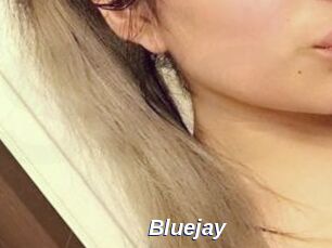 Blue_jay