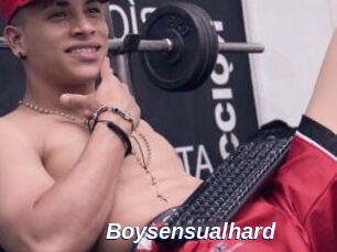 Boysensualhard