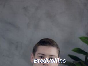 BredCollins