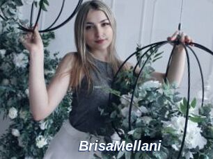 BrisaMellani Safer Sex
