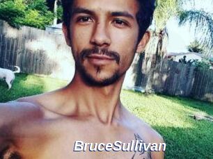 Bruce_Sullivan