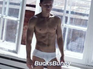 BucksBunny