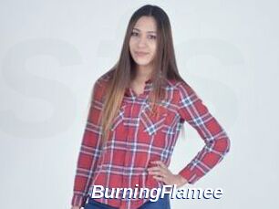 BurningFlamee