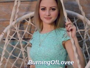 BurningOfLovee
