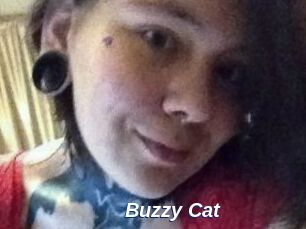 Buzzy_Cat