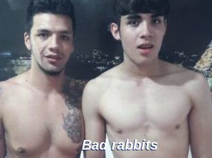 Bad_rabbits