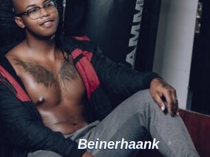 Beinerhaank