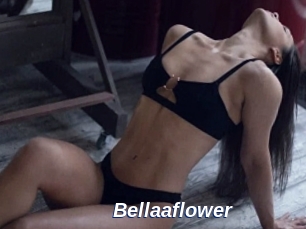 Bellaaflower