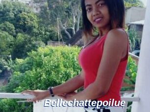 Bellechattepoilue
