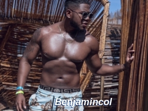 benjamincol Safer Sex