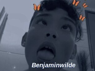 Benjaminwilde