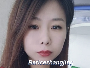 Bericezhangjing
