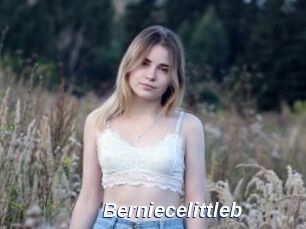 Berniecelittleb
