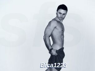 Bica1223