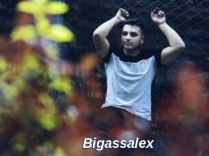 Bigassalex